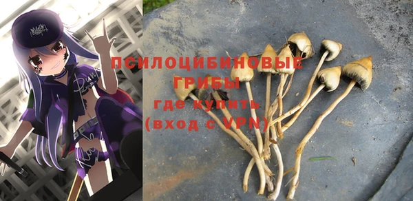 mdpv Кукмор