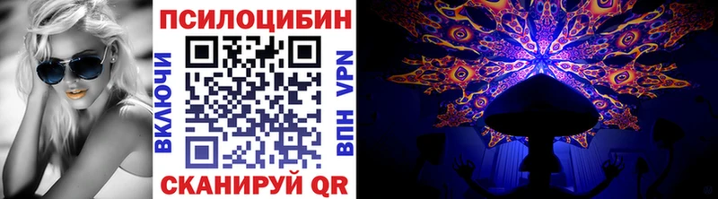Купить  Кимры  Псилоцибиновые грибы GOLDEN TEACHER 
